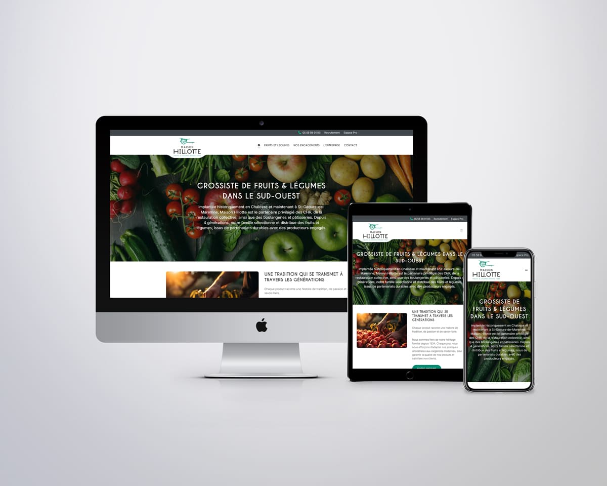 Site internet Maison Hillotte